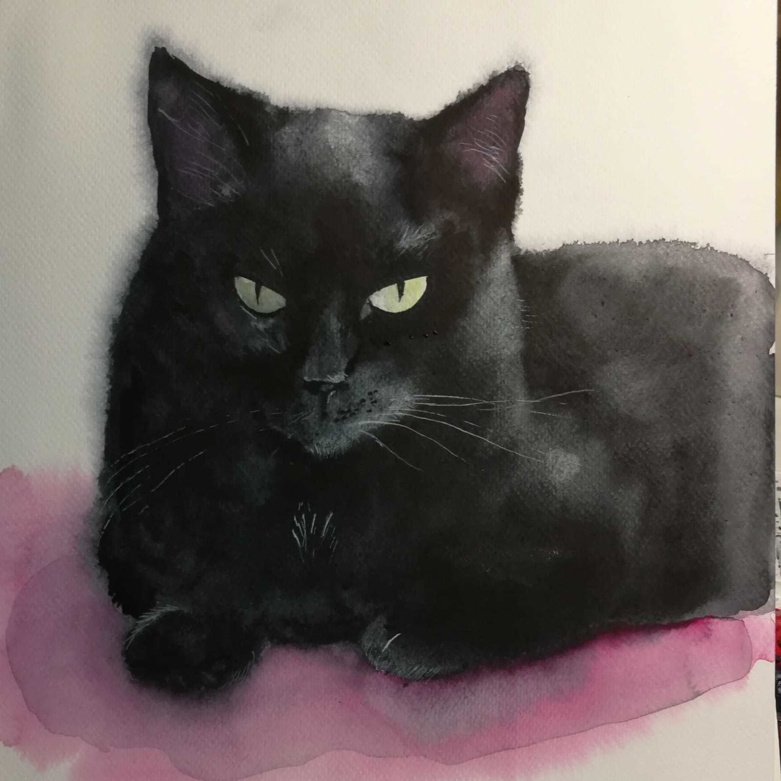 Черный кот рисунок красками