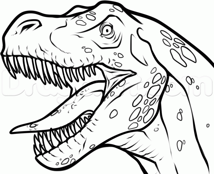 Картинки динозавров нарисовать. Тираннозавр рекс для детей. Рисунок динозавра карандашом для срисовки. Тираннозавр раскраска. Динозавр рисунок.