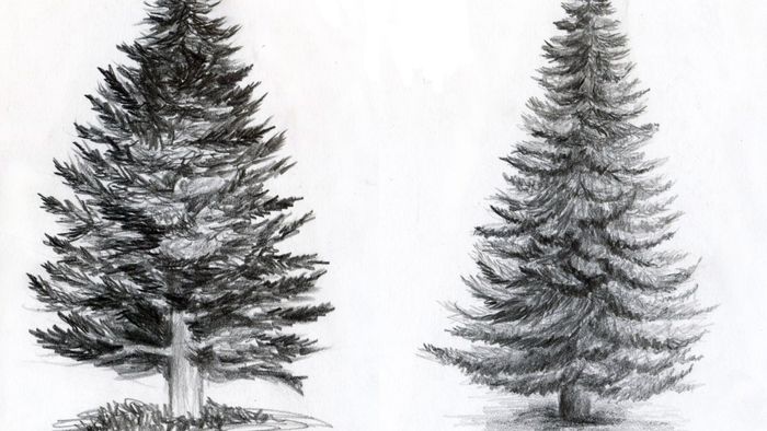 Рисунок елки для срисовки (50 картинок) ✏