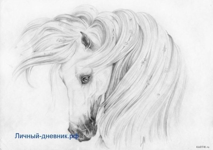 Необычные рисунки для срисовки простым карандашом (70 фото)