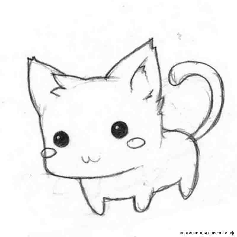 Милый котик рисунок карандашом легкий. Рисунки для срисовки лёгкие. Няшные картинки для срисовки. Небольшие рисунки для срисовки.
