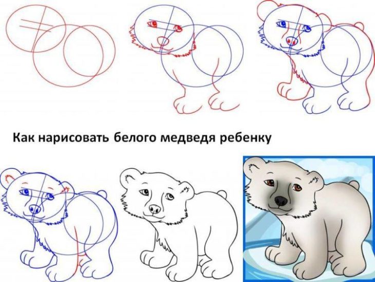 Нарисовать медвежонка карандашом