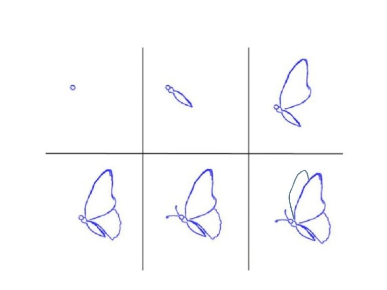 Как нарисовать бабочку поэтапно легко