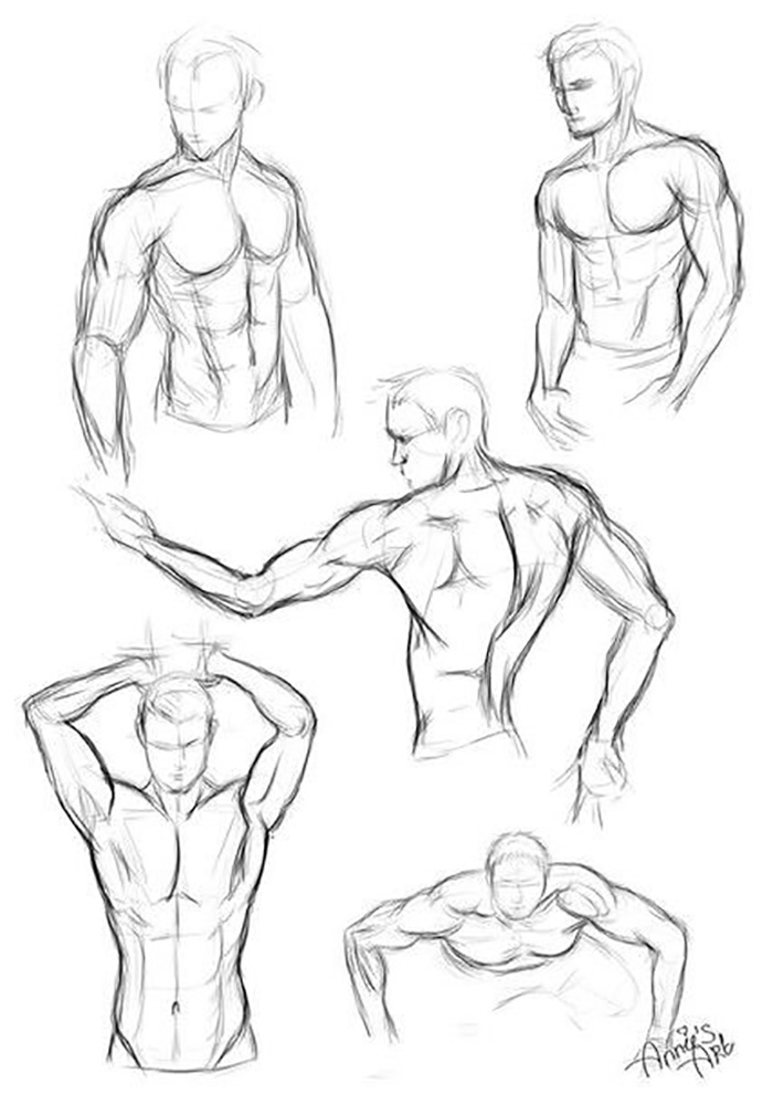 Мускулистое мужское тело рисунок